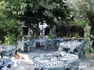 Pissouri Bunch Of Grapes