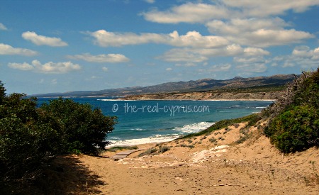 Cyprus Beaches