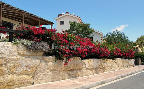 Pissouri Villas