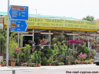 Poppies Flower Shop Erimi